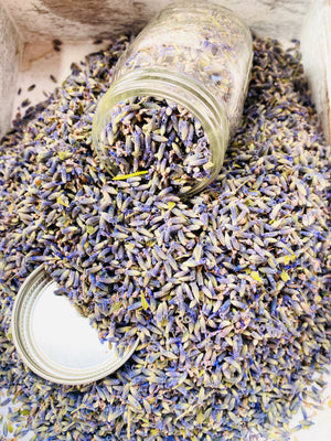
            
                Load image into Gallery viewer, Lavender Buds
            
        